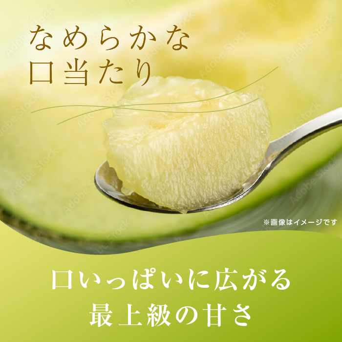 来年2026年5月出荷 イバラキングメロン 訳あり（良品）2玉入