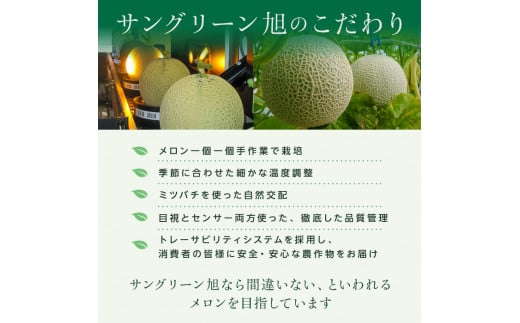 サングリーン旭【特秀】メロン（クインシー）2玉／約2kg前後