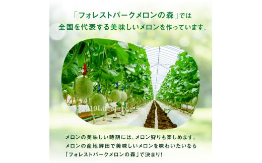 おまかせメロンセレクト　旬の味食べ比べ2個セット