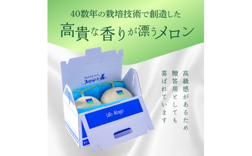 【3ヶ月定期便】アールスメロン（マスクメロン）1個入り（約1.5kg～2kg）×3回