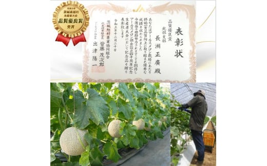 【特秀】アールスメロン 2玉（3.0kg）茨城旭エメラルド