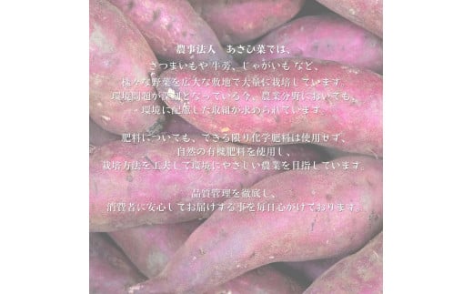 さつまいもチップス　1袋150g×12個入り　1箱