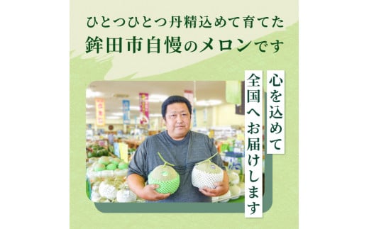 JAほこた なだろう アンデスメロン（1玉）クインシーメロン（1玉）