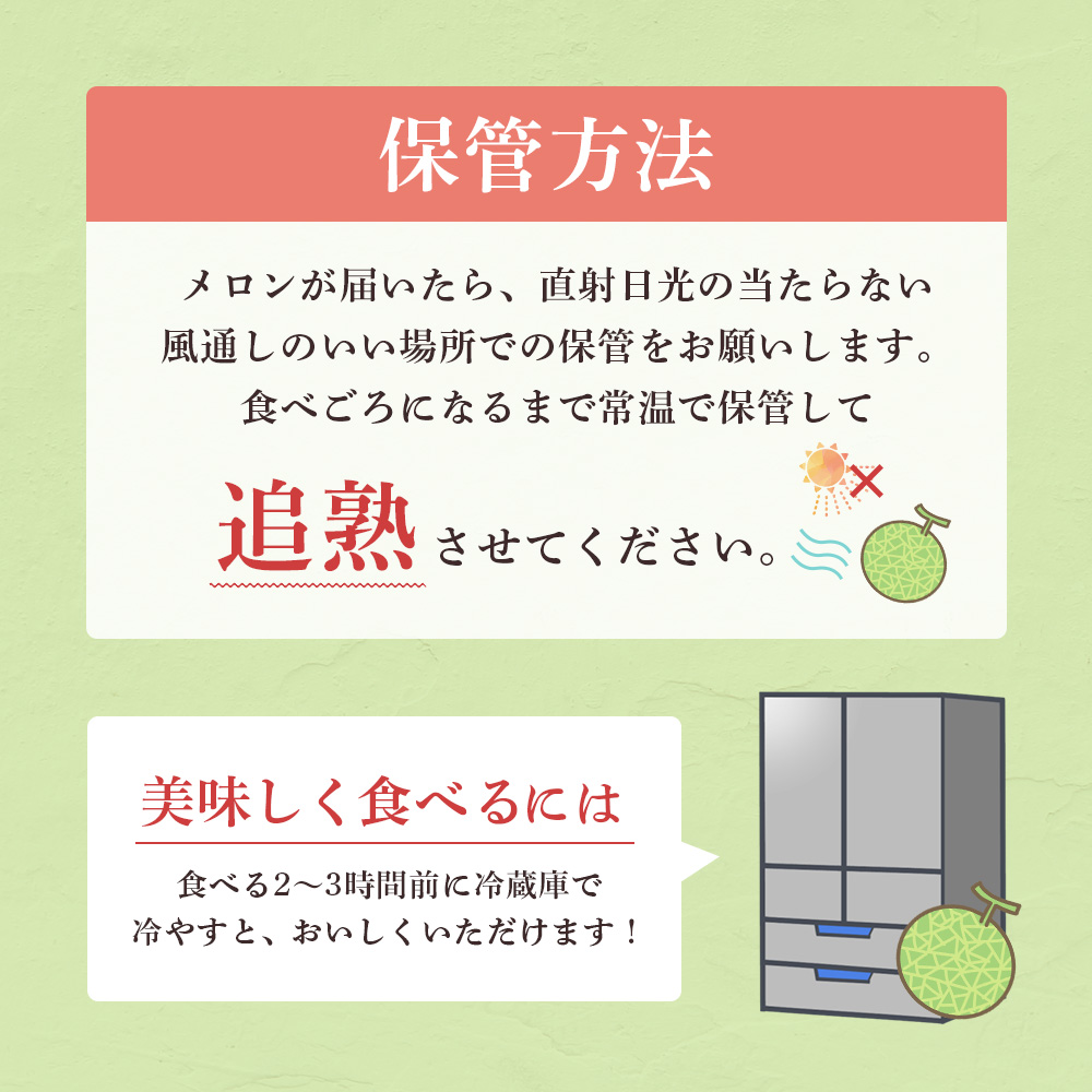 来年2026年5月出荷 イバラキングメロン 訳あり（良品）2玉入