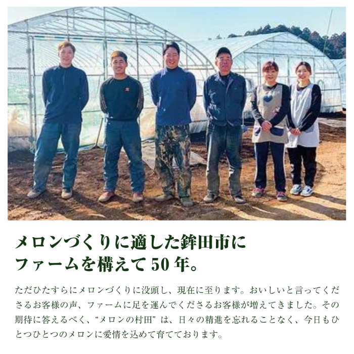 アンデスメロン（2玉入り1箱）計3kg前後 4Lサイズ1玉1.5kg前後 茨城 鉾田 メロン めろん アンデス 2025年5月頃発送 先行予約 フルーツ先行予約