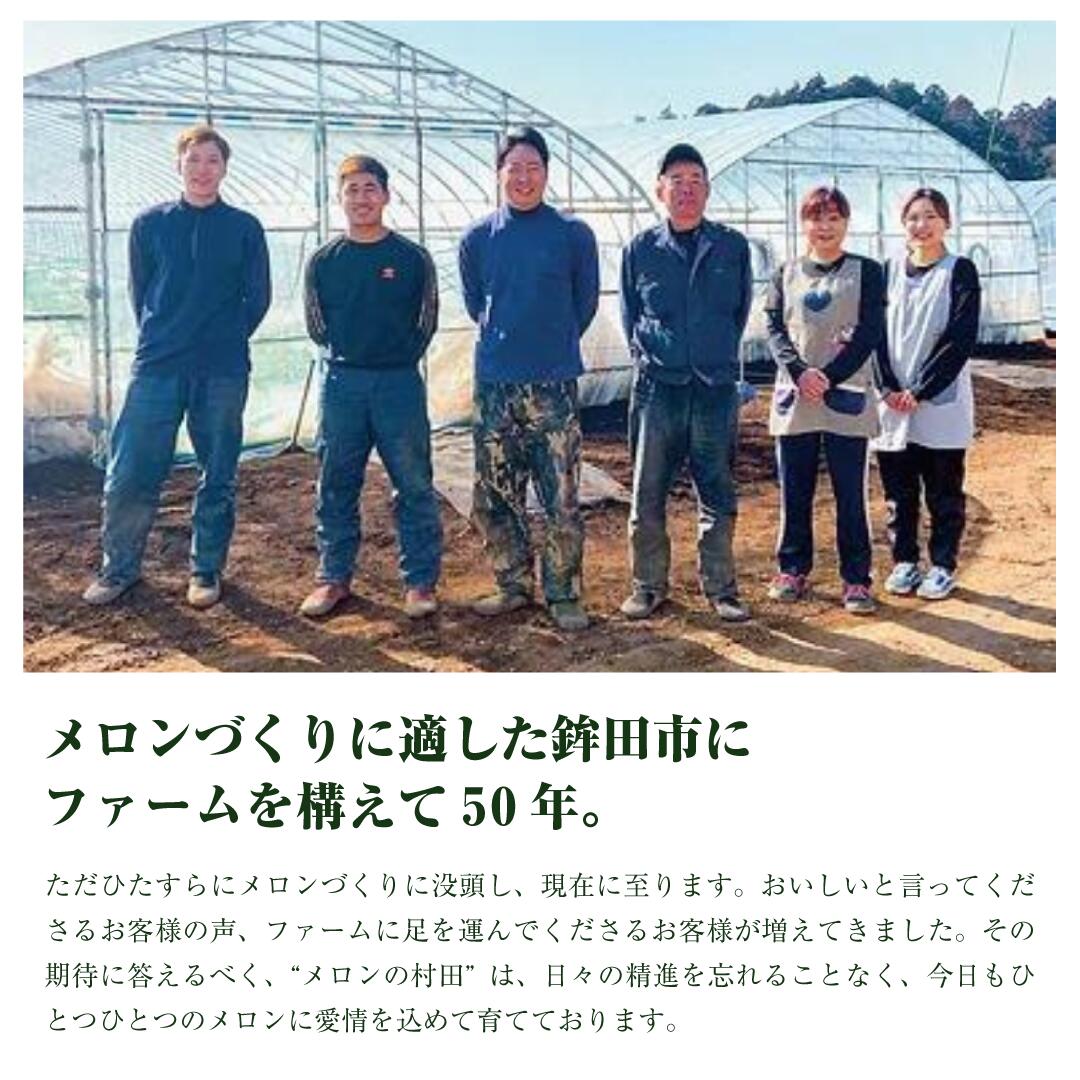 アールスメロン（1玉入り1箱）2kg～2.5kg お中元 メロン めろん アールス 1～2玉 2kg～4kg おすすめ 人気 国産 青肉 産地直送 茨城 鉾田 フルーツ 旬 大きい プレゼント 贈り物 旬 定番 果物 くだもの 甘い 産地直送 先行予約 2025年7月～9月発送 フルーツ先行予約