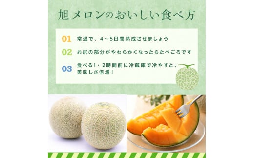 サングリーン旭【特秀】メロン（クインシー）3玉~5玉／約5kg前後