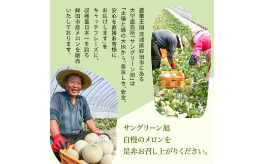 サングリーン旭　アールスメロン　2玉（1玉約1.3～1.5kg）