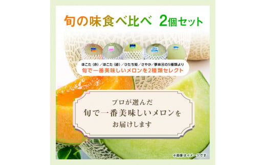 おまかせメロンセレクト　旬の味食べ比べ2個セット