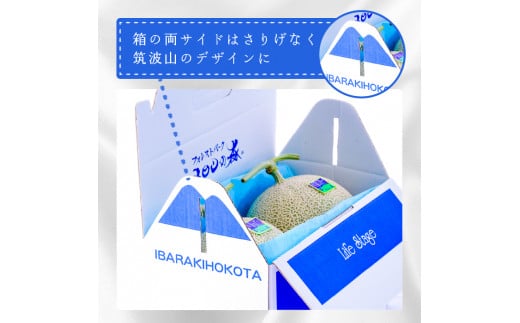 メロンの森　アールスメロン（マスクメロン）　2個入り（約3kg～4kg）