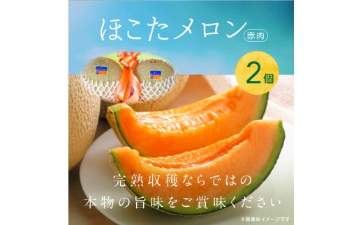 メロンの森 ほこたメロン（赤肉） 2個入り