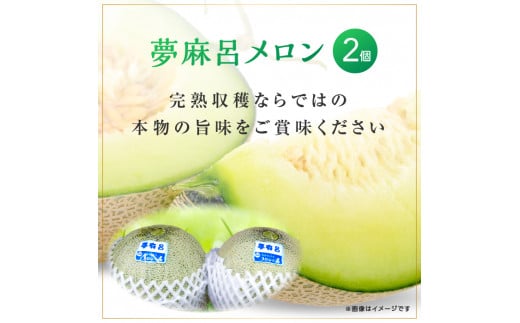 メロンの森 夢麻呂メロン 2個入り