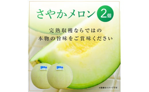 メロンの森 さやかメロン 2個入り