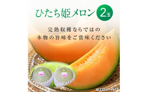 メロンの森 ひたち姫メロン 2個入り