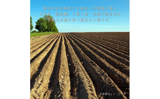 さつまいもチップス　1袋150g×12個入り　1箱