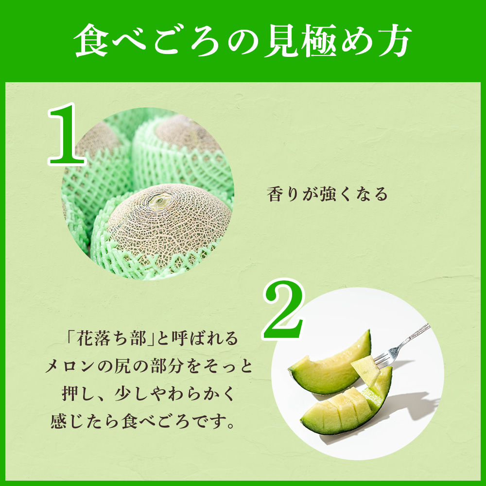 来年2026年5月出荷 イバラキングメロン 訳あり（良品）3～4個入 2023/10/1～