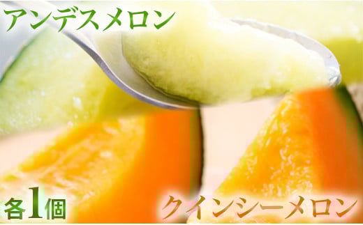 JAほこた なだろう アンデスメロン（1玉）クインシーメロン（1玉）