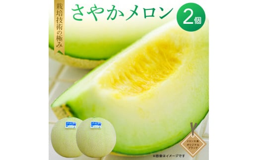メロンの森 さやかメロン 2個入り