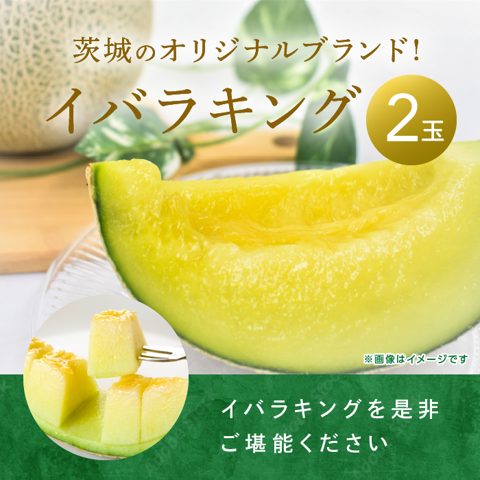 来年2026年5月出荷 イバラキングメロン 訳あり（良品）2玉入