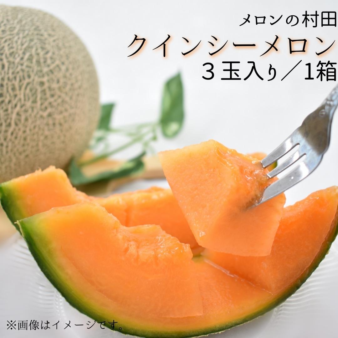 クインシーメロン（ 3玉入り1箱 ）計4.5kg 4Lサイズ 1玉1.5kg前後 茨城 鉾田 メロン めろん クインシー 2025年5月～6月頃発送 先行予約 フルーツ先行予約