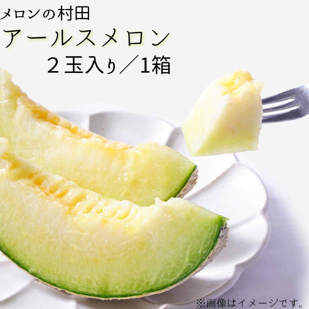 アールスメロン（ 2玉入り1箱 ）計4kg～4.5kg お中元 メロン めろん アールス 1～2玉 2kg～4kg おすすめ 人気 国産 青肉 産地直送 茨城 鉾田 フルーツ 旬 大きい プレゼント 贈り物 旬 定番 果物 くだもの 甘い 産地直送 先行予約 2025年7月～9月発送 フルーツ先行予約