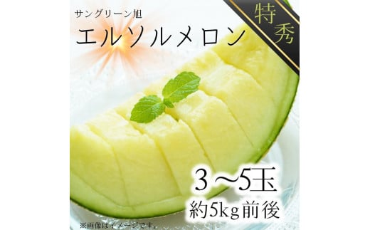 サングリーン旭【特秀】メロン（エルソルメロン）3~5玉入り／約5kg前後
