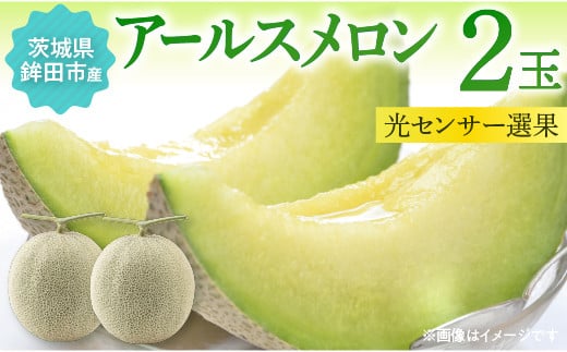 サングリーン旭　アールスメロン　2玉（1玉約1.3～1.5kg）