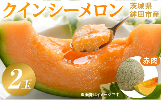 サングリーン旭【特秀】メロン（クインシー）2玉／約2kg前後