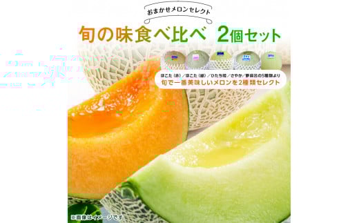 おまかせメロンセレクト　旬の味食べ比べ2個セット