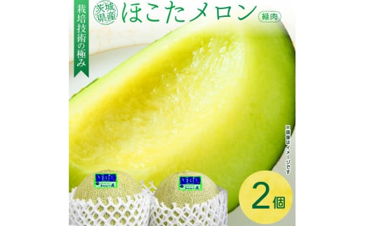 メロンの森　ほこたメロン（緑肉）　2個入り