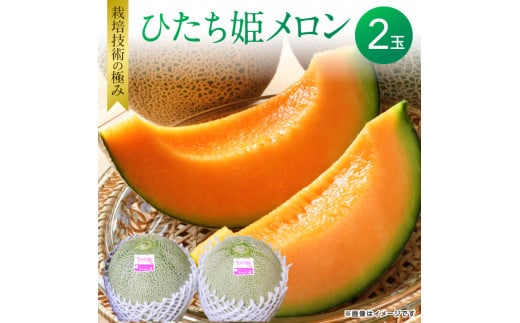 メロンの森 ひたち姫メロン 2個入り