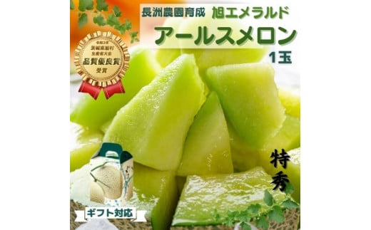 【贈答用／特秀】アールスメロン 1玉（1.5kg）茨城旭エメラルド