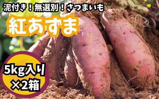 【さつまいも】紅あずま（泥付き無選別）10kg
