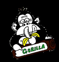 【定期便】プレミアムブレンド（５Kg×１２ヶ月） [AO09-NT]