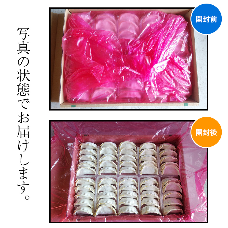 国産豚肉！国産野菜使用！冷凍餃子100個セット 冷凍食品 惣