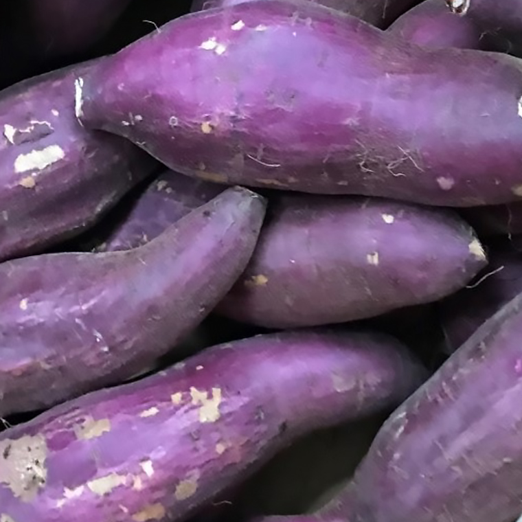 さつまいもの食べ比べセット3kg【令和6年10月より発送開始