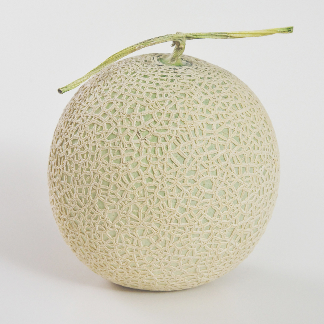 【定期便】 アールスメロン 食べてみセット 1個入り 毎月1