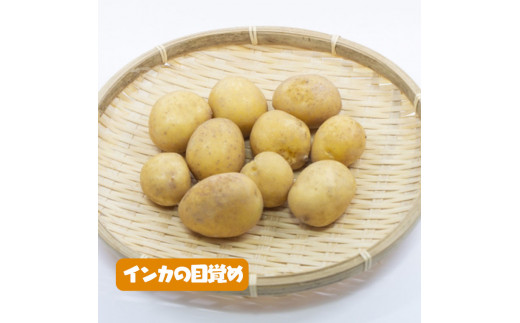 ３種類のじゃがいも4kgセット【令和4年6月から順次お届け】