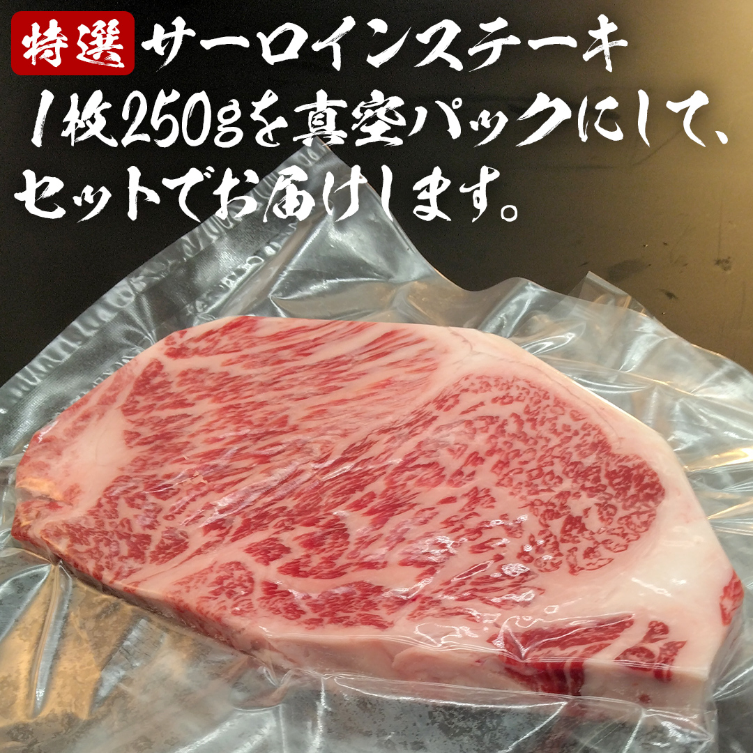 【 常陸牛 】 A5 等級 サーロインステーキ 500g (250g×2枚) あら