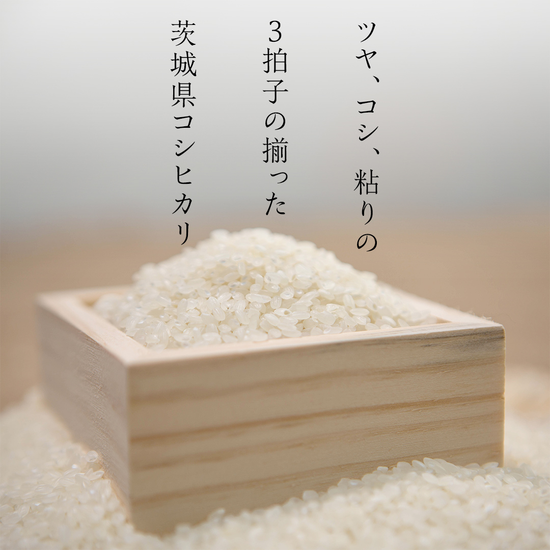 【 新米 】 令和7年産 茨城 こしひかり 10kg（ 5kg × 2本 ） 精