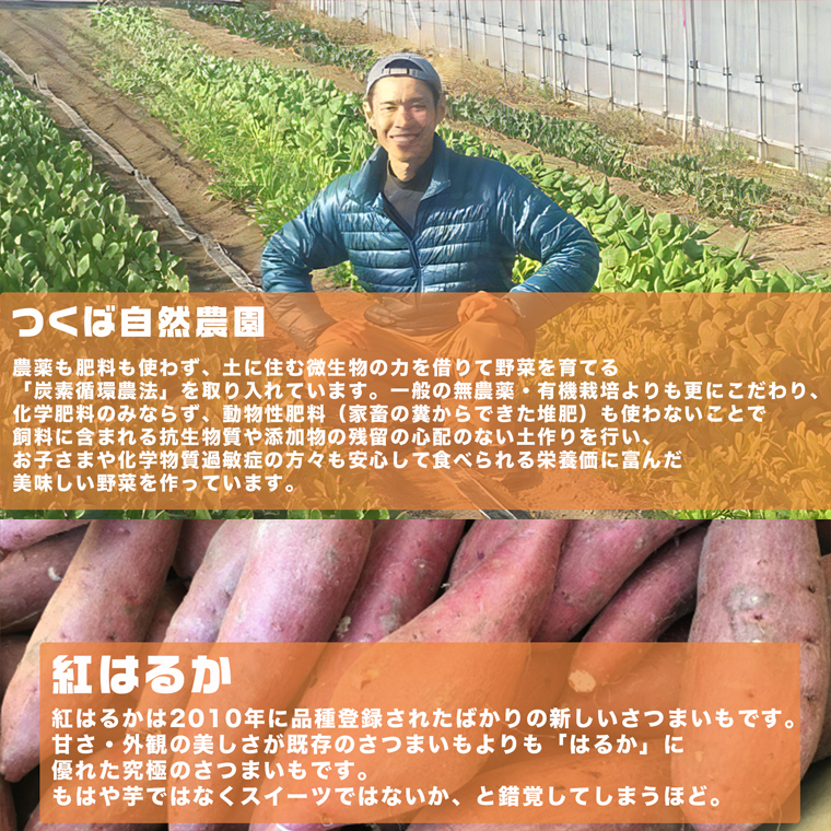 さつまいも ( 紅はるか ） 5kg 【 栽培期間中 / 農薬・肥料不