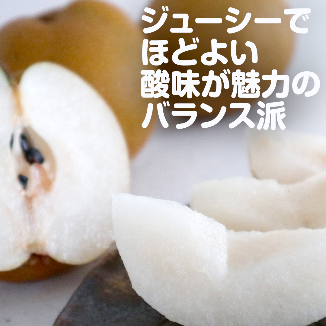 梨 豊水 約10kg 20～32個【2025年9月より発送開始】（茨城県共