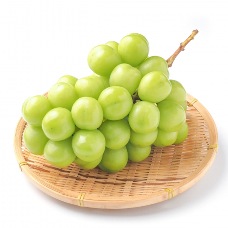 プレミアム シャインマスカット 1房 ギフトBOX入り 【2025年7