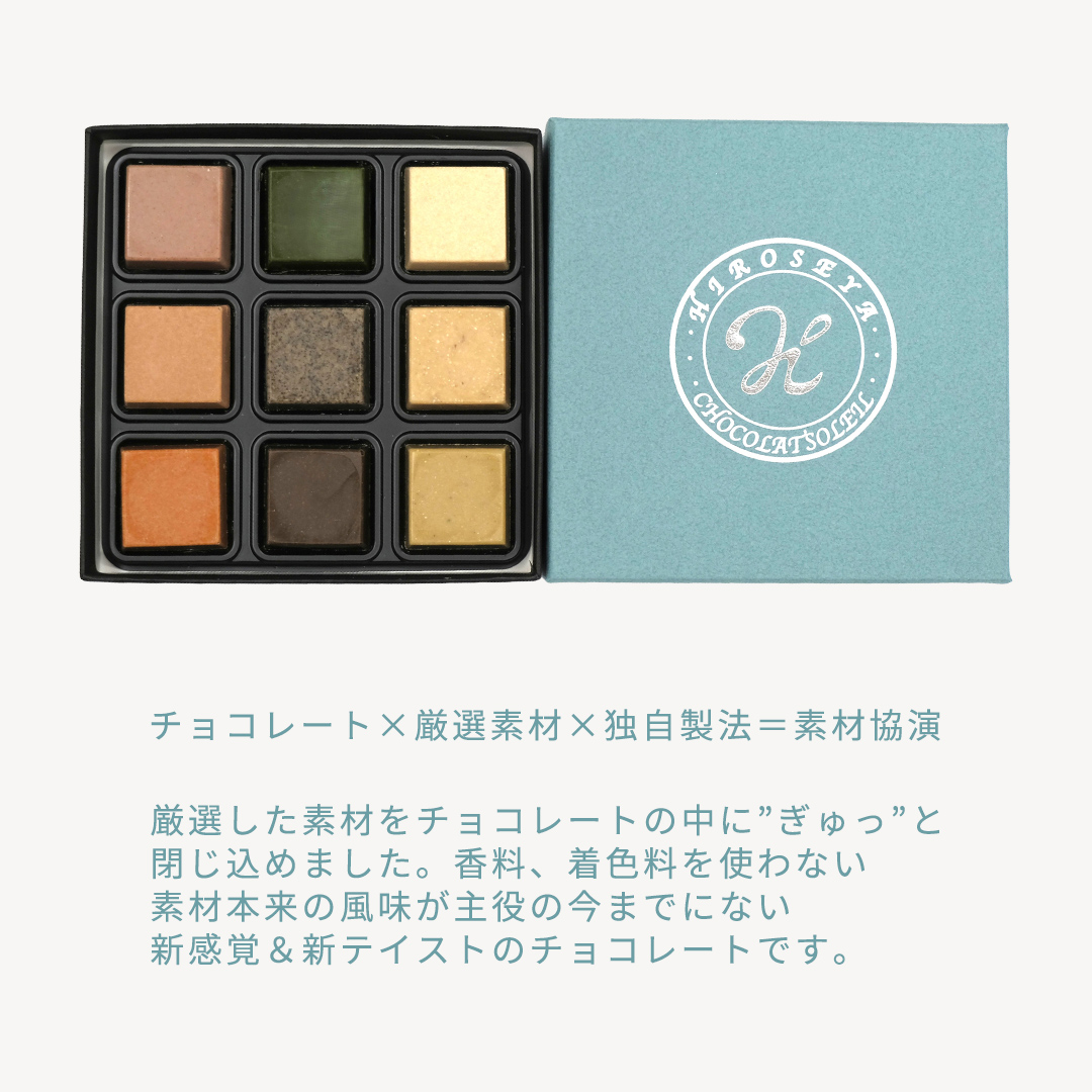【 お歳暮 熨斗付 】 ショコラソレイユ 9種 チョコレート チ