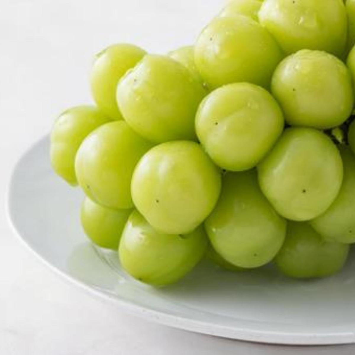 【 桐箱入り 】 シャインマスカット 1房 と ナガノパープル 