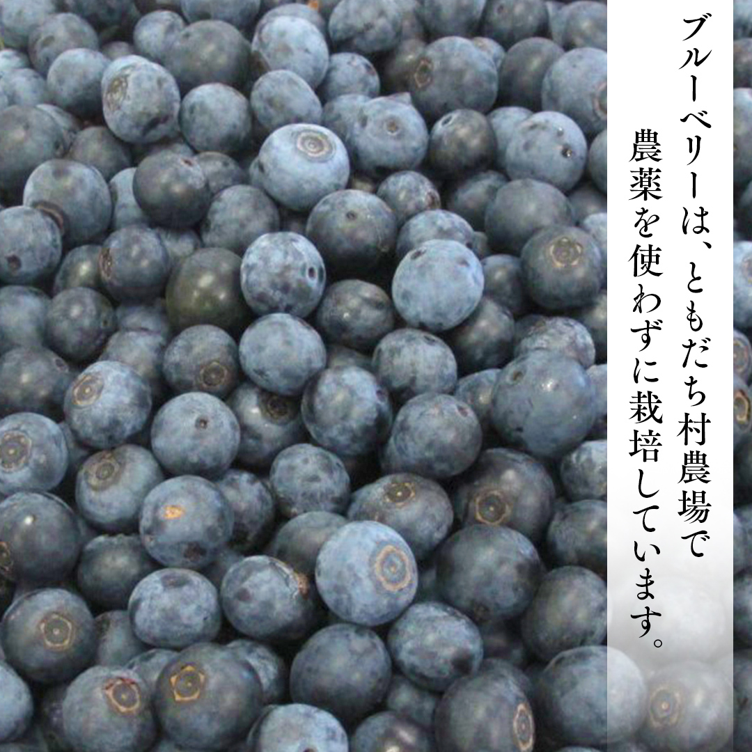 つくばみらい市 産 冷凍 ブルーベリー 800g ( 400g ×2パック ) 