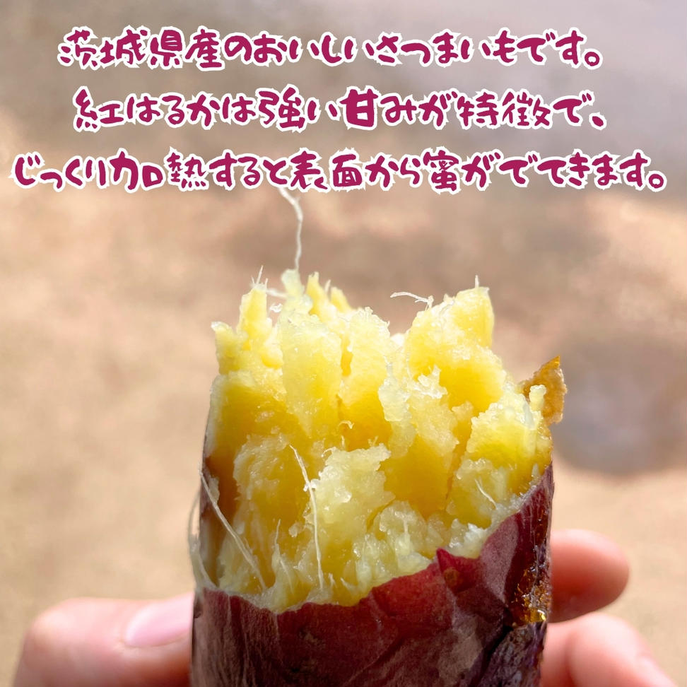 【 先行予約 】茨城県産 さつまいも 紅はるか 5kg （ 土付き 