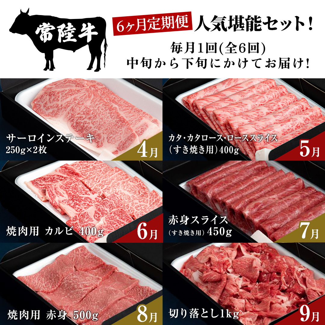 【令和8年4月スタート】【 定期便 全6回 】 常陸牛 人気 6ヶ