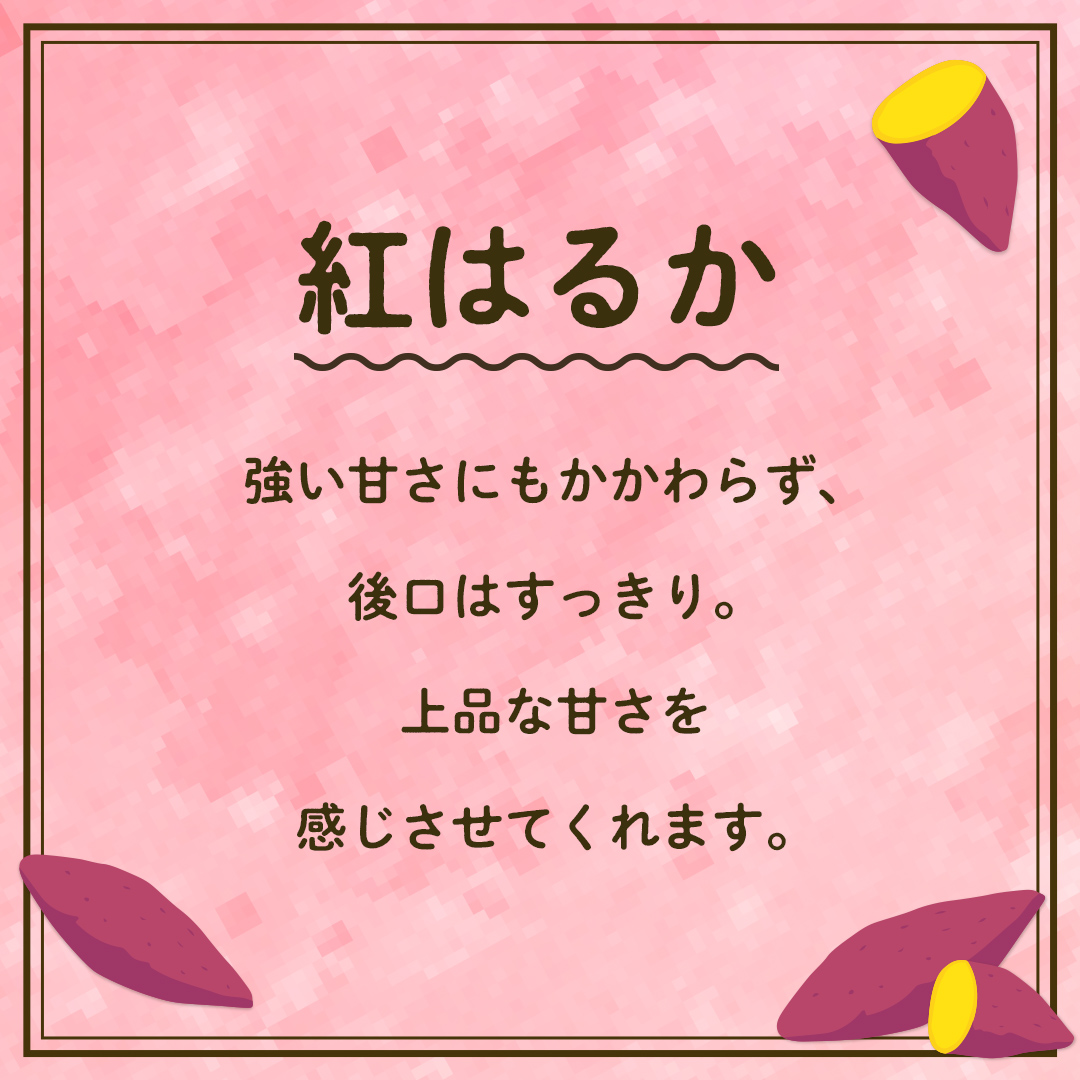 【 先行予約 】 茨城県産 紅はるか 3kg サイズS～2L さつまい
