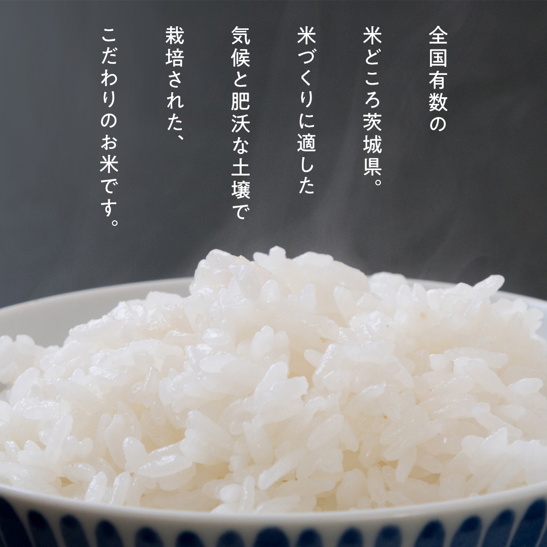 地元で愛される漬物店のお米 5kg（未検査米） 5kg×1袋 精米 